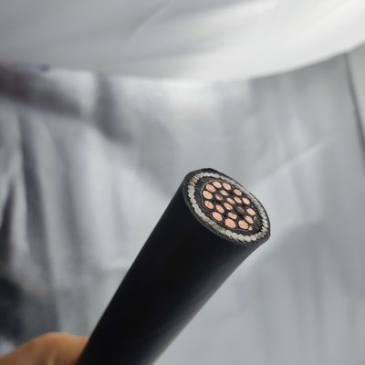 Bom preço Cable de instrumentação 300/500V 20Cores CU/MGT/XLPE/OS/FR/LSZH/GSWA/LSZH 20х2,5 Em linha